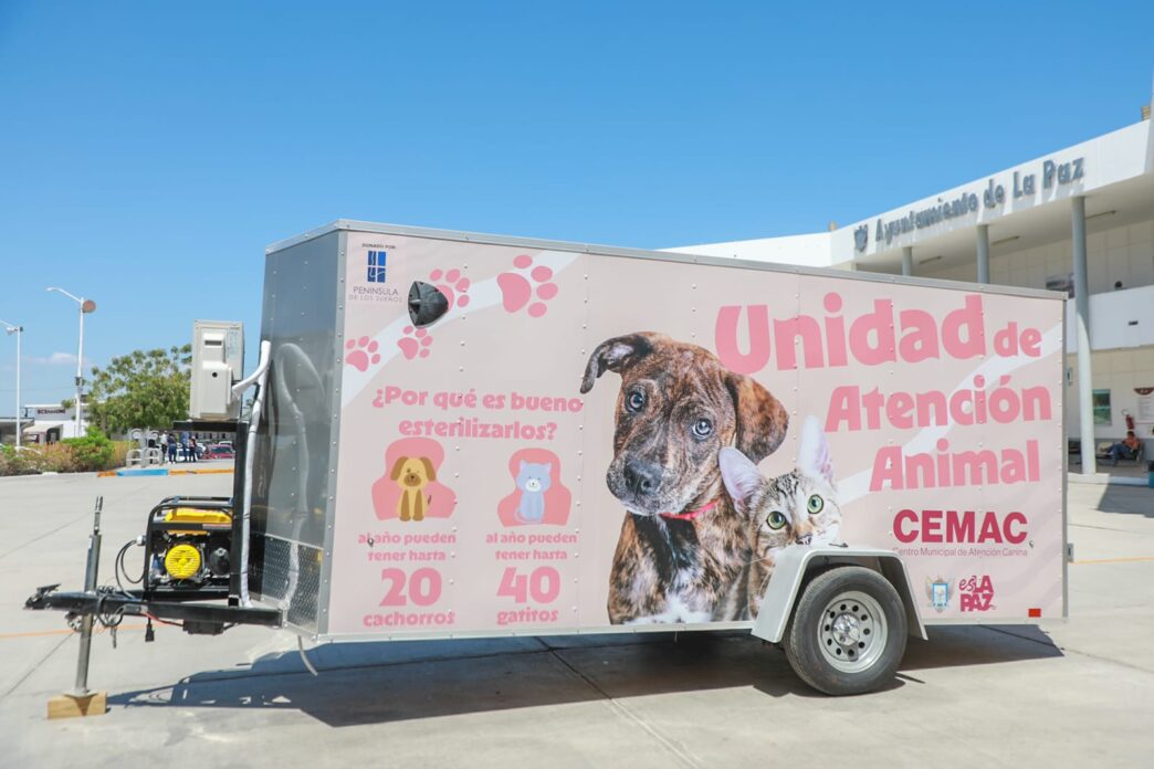 Vet movil - Gringo Gazette