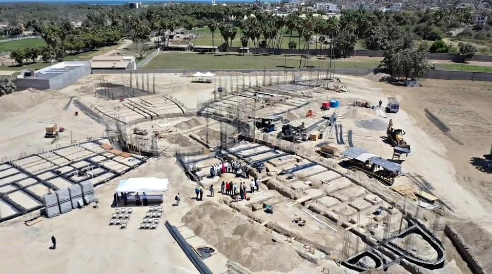 new crit in los cabos - Gringo Gazette