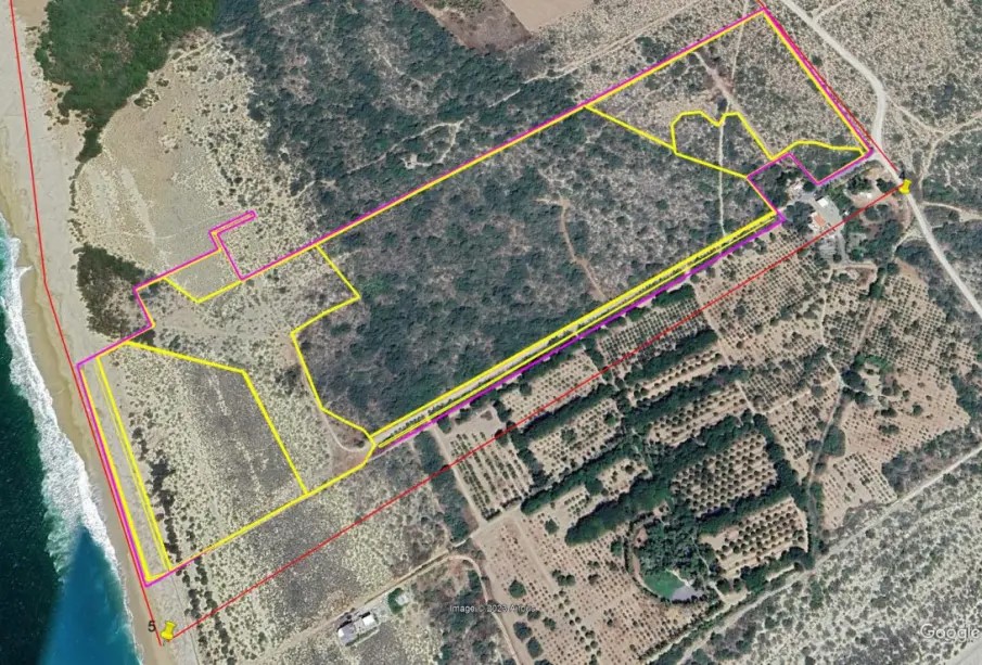 proyecto-delek-905x613 - Gringo Gazette