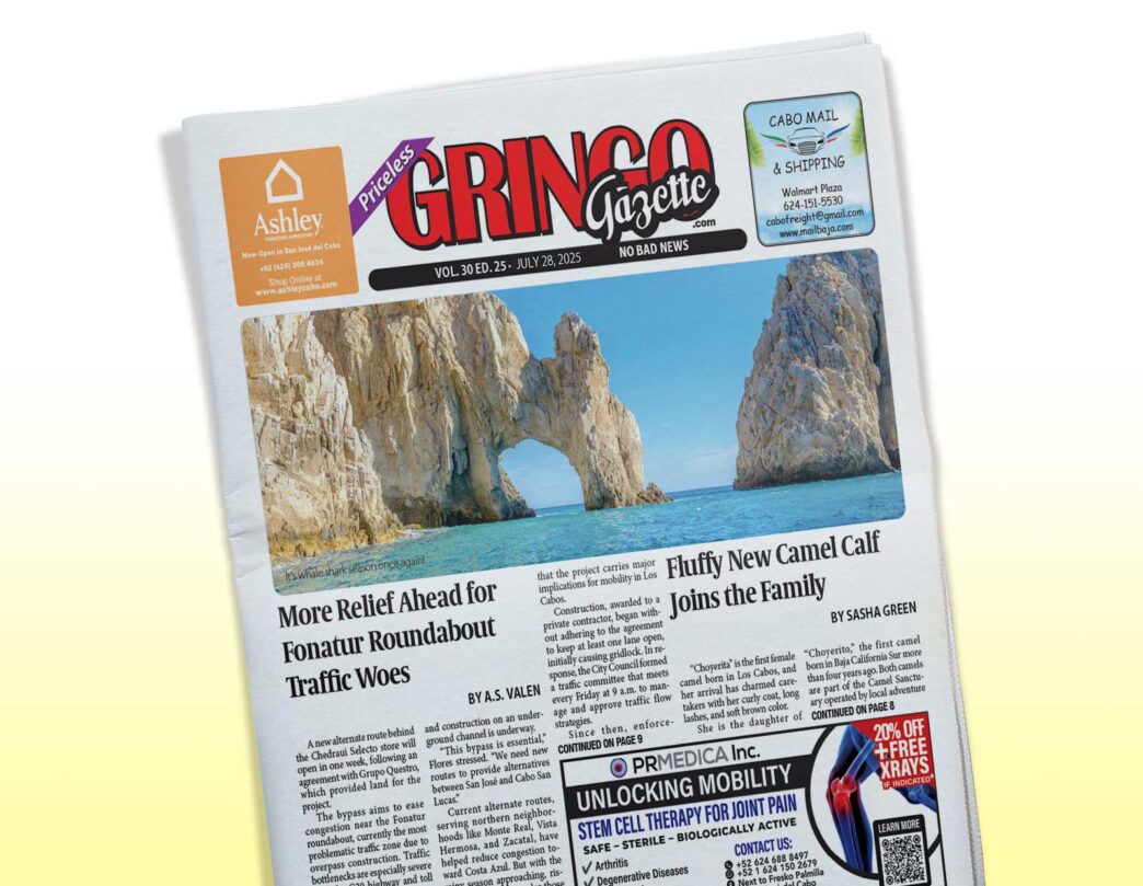 3025 - Gringo Gazette