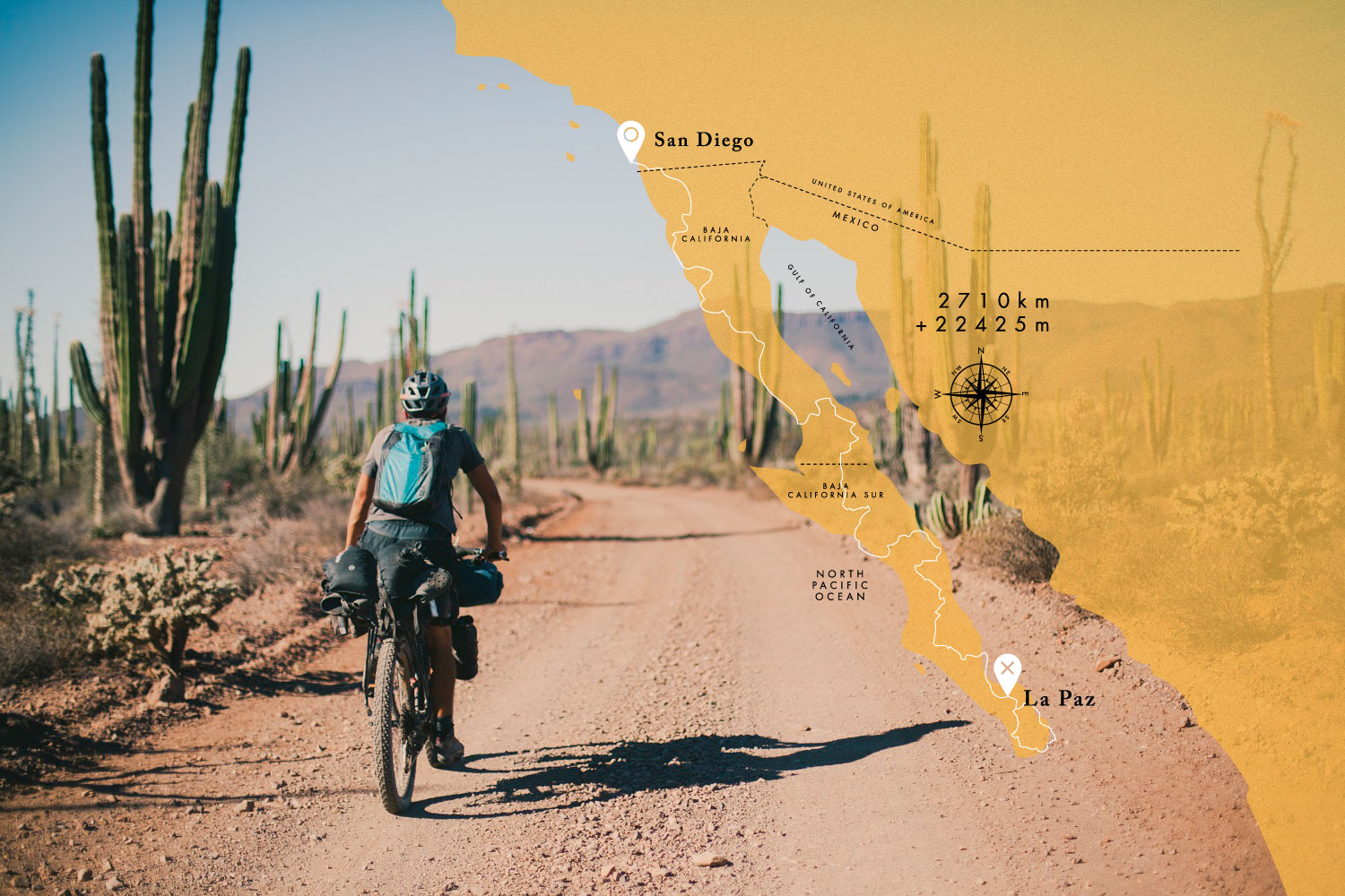 Dust, Determination, and Desert Dreams