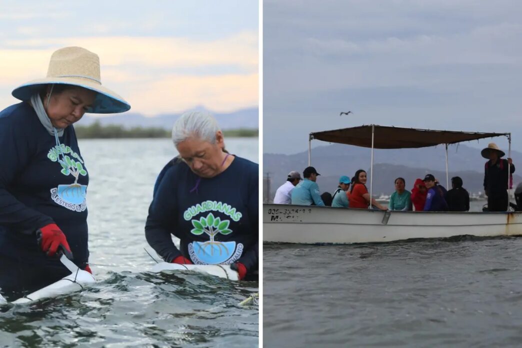 importancia-d-elas-mujeres-pescadoras-1d844a08-focus-0-0-1479-828 - Gringo Gazette