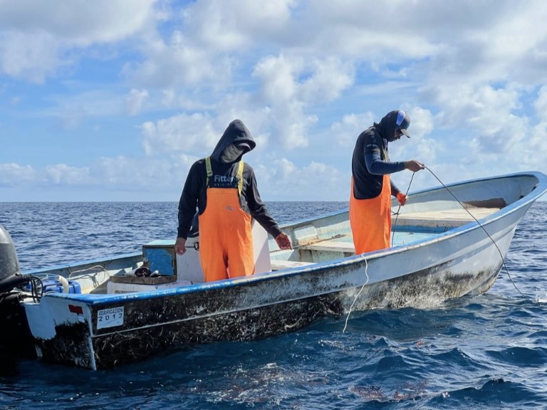 pescaderes de tiburon 1 - Gringo Gazette