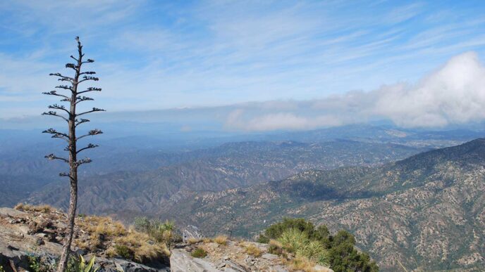 Sierra de La Laguna. Photo from Wikipedia, by user: Darknight0320