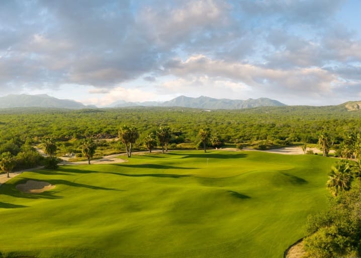 Campestre2 - Gringo Gazette