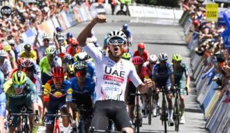 Isaac-D-Toro - Gringo Gazette