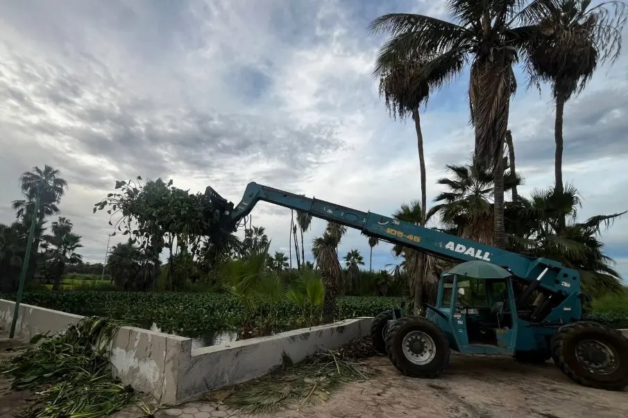 estero foto Luis Castrejon - Gringo Gazette