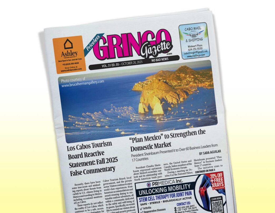 3105 - Gringo Gazette