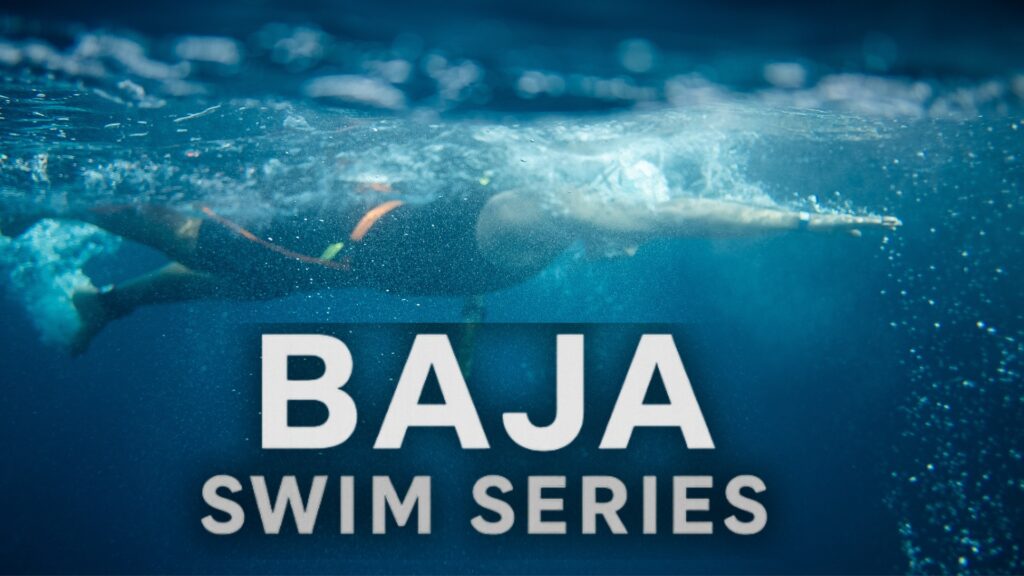 542751930_755467513930220_8433518489048244848_n - Gringo Gazette