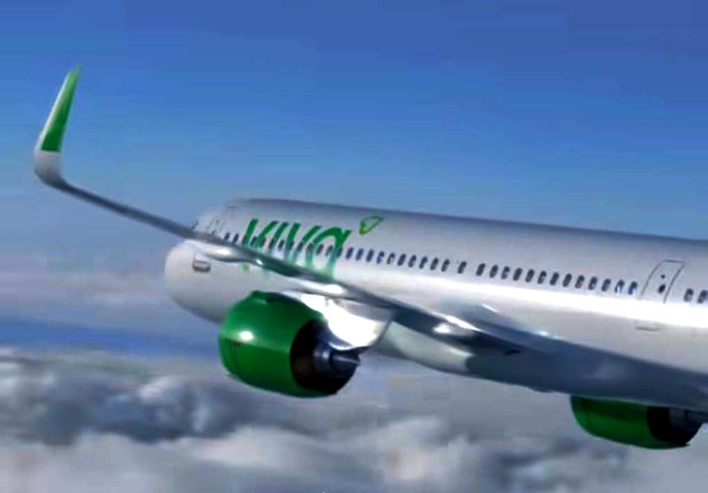 AreoViva - Gringo Gazette