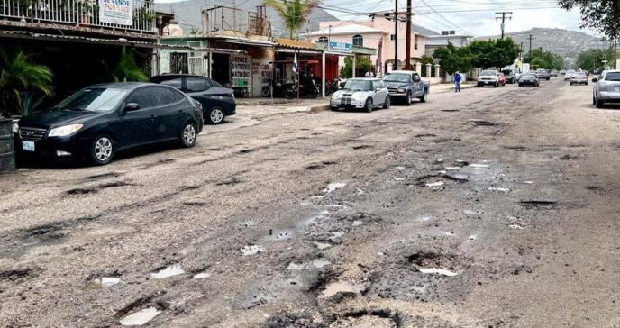 Baches la Paz - Gringo Gazette