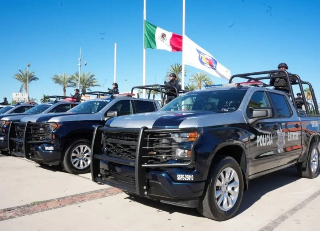 New Trucks - Gringo Gazette