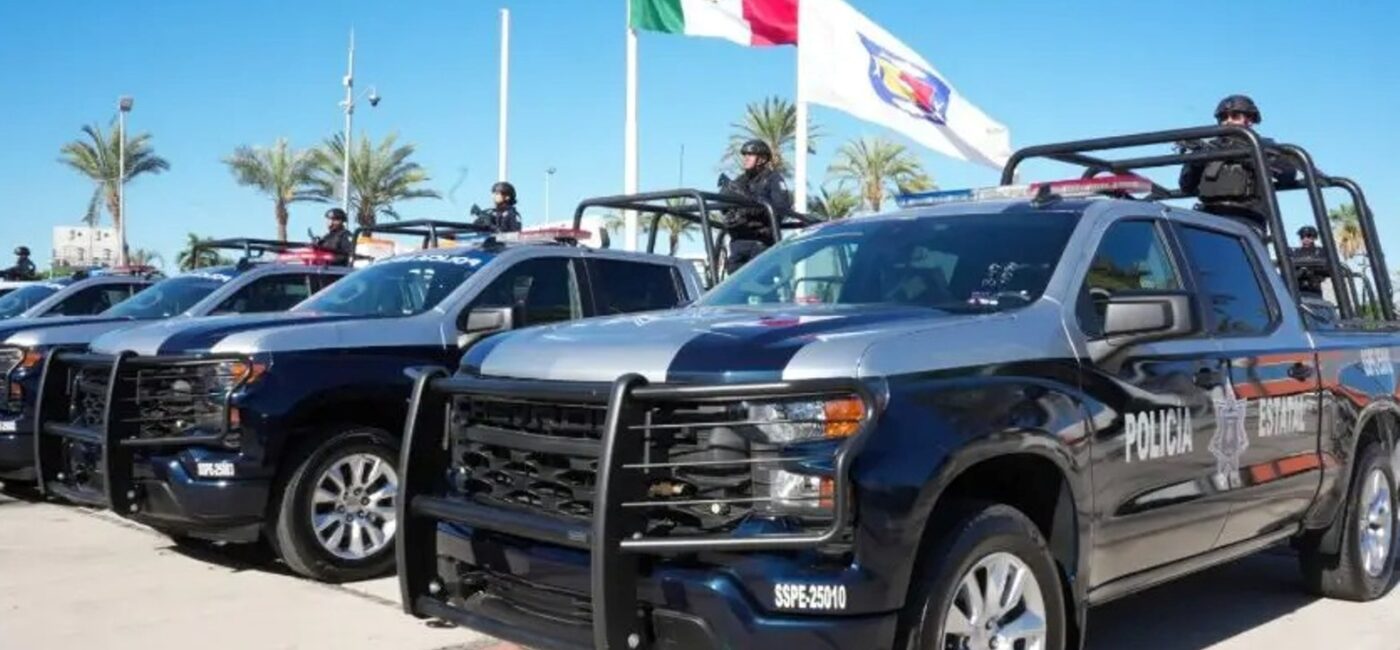 New Trucks - Gringo Gazette