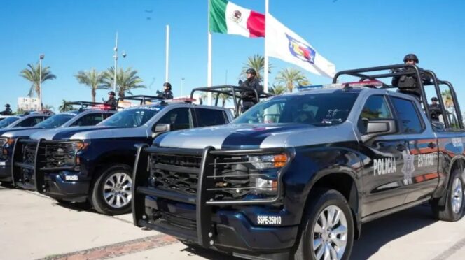 New Trucks - Gringo Gazette