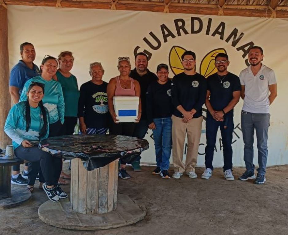 Oysters - Gringo Gazette