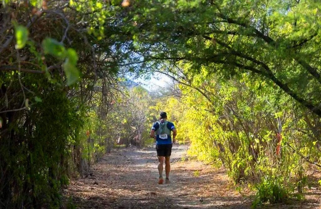 Sea 2 Sea2 - Gringo Gazette