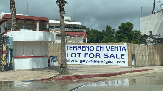 fac80282-7508-416a-8260-c514804da857 - Gringo Gazette
