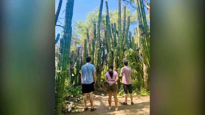 20251107La-Paz-Pearls-pic - Gringo Gazette