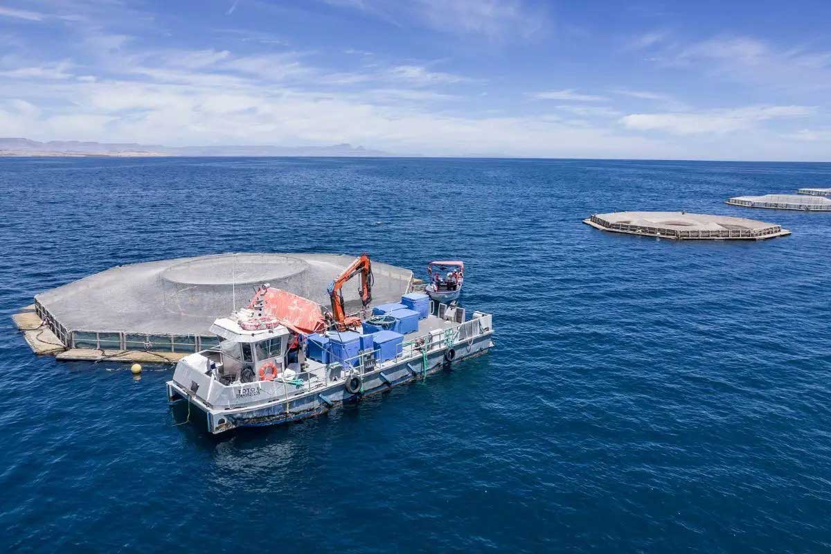Santomar Develops Climate-Resilient Aquaculture in Baja California Sur
