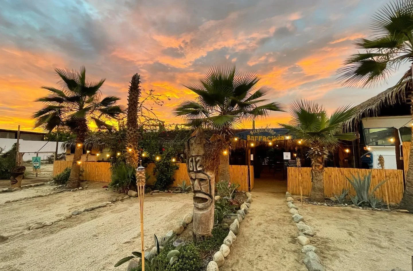 Barracuda+Cantina+Cerritos+Beach+BCS4