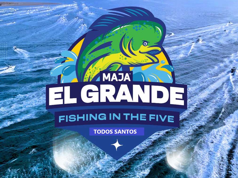 MajaGrande - Gringo Gazette