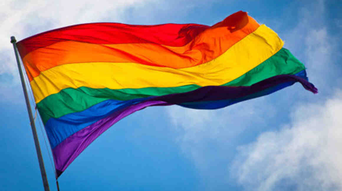 Queer - Gringo Gazette