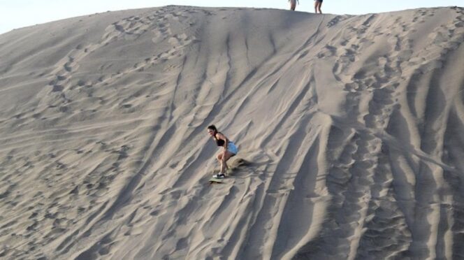 SandSurfing3 - Gringo Gazette