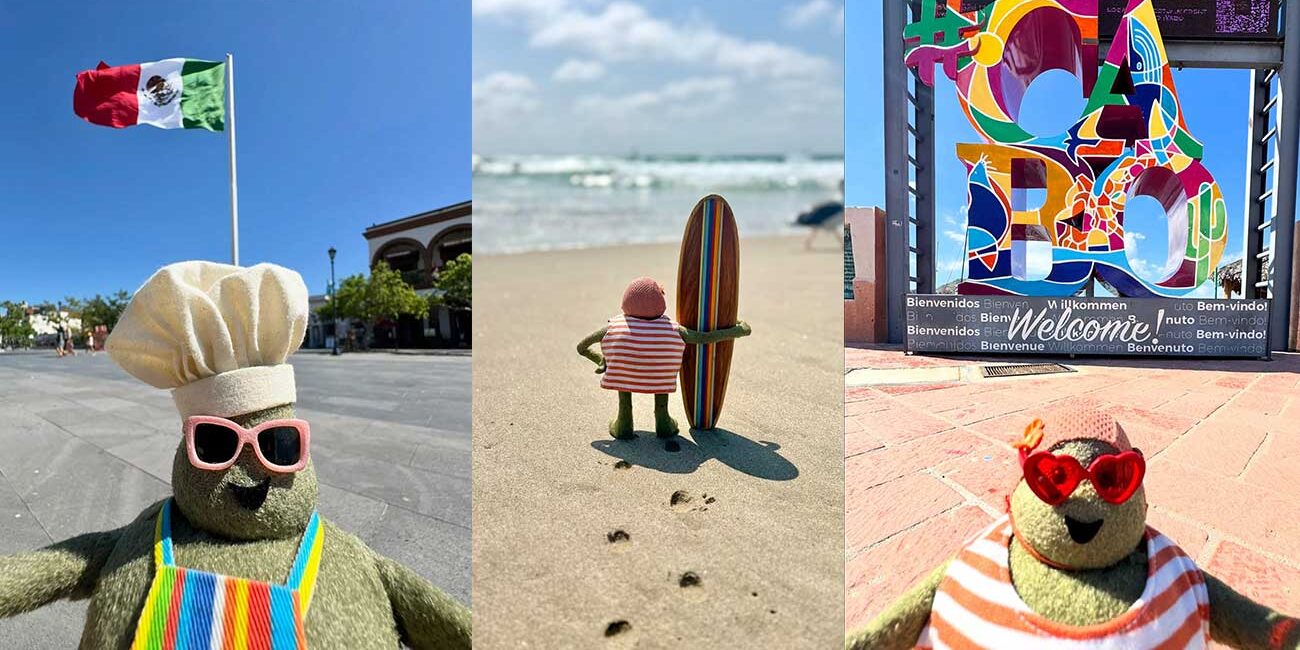 cheffyComp - Gringo Gazette