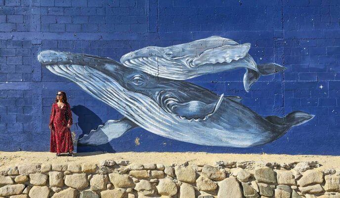 corsario-ballena-scaled - Gringo Gazette