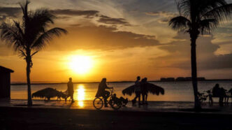malecon-la-paz-atardecer-1024x682-1-696x464 - Gringo Gazette