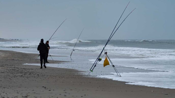 shoreFishing - Gringo Gazette