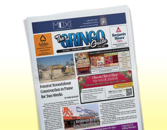 3110 - Gringo Gazette