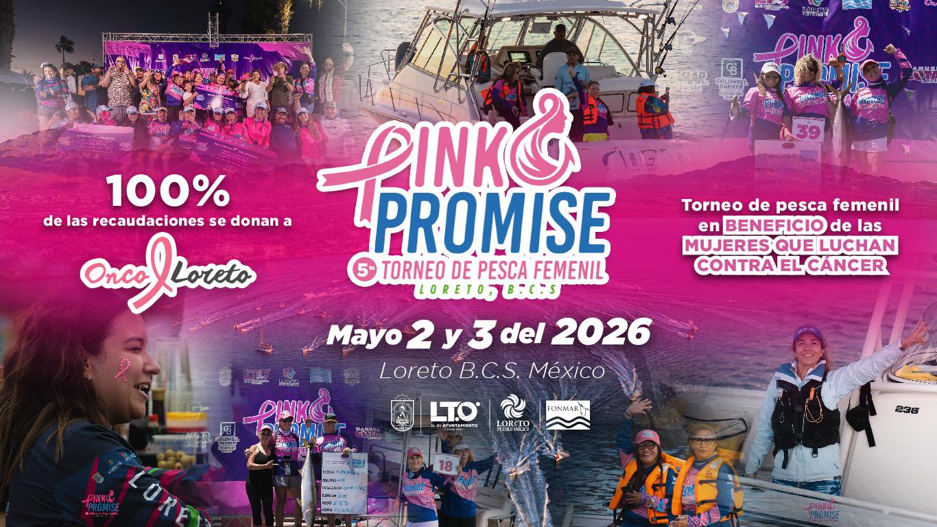 588887404_843147035136345_6074099581469217667_n - Gringo Gazette