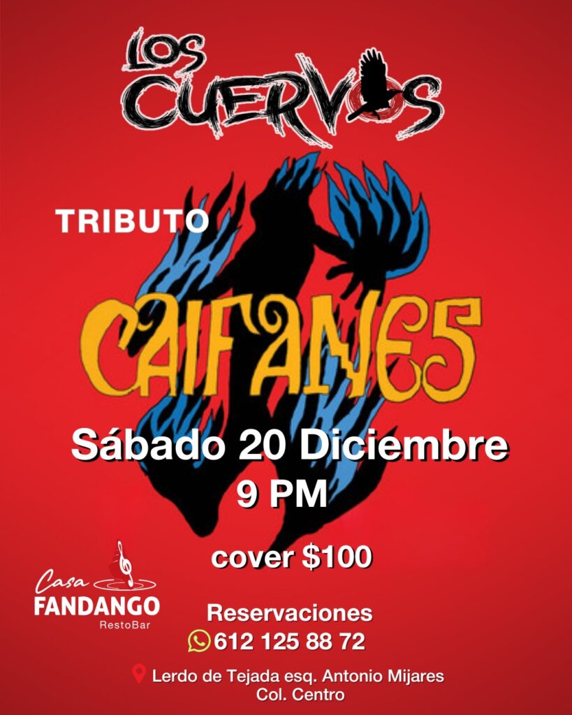 597029912_122182572458470229_6464410012651437274_n - Gringo Gazette