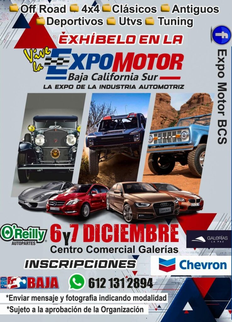 Dec0120250638032001764606914581680860_1307992261356501_7695209121145557350_n - Gringo Gazette