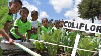 Gardens - Gringo Gazette