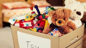 Toys - Gringo Gazette