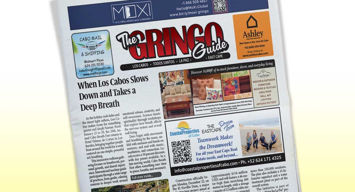 3111 - Gringo Gazette