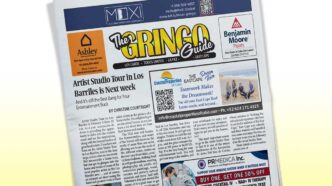 3112 - Gringo Gazette