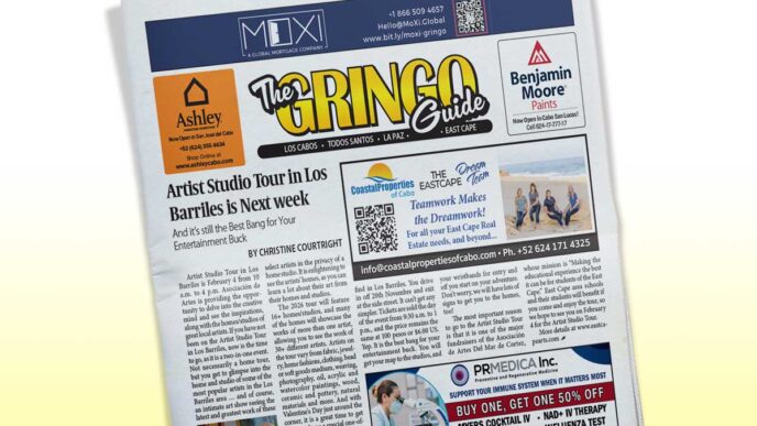 3112 - Gringo Gazette