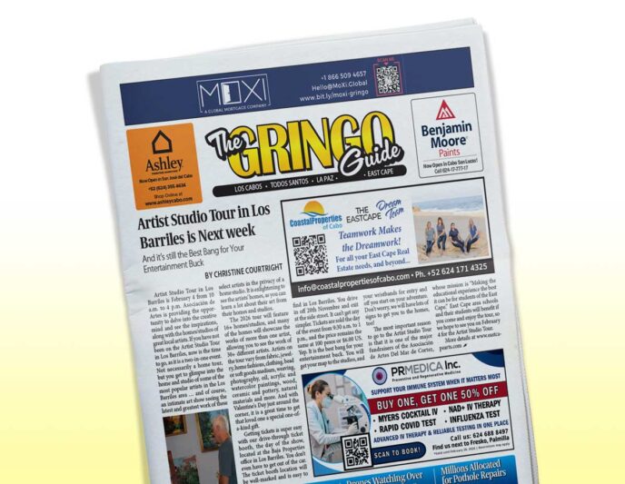 3112 - Gringo Gazette