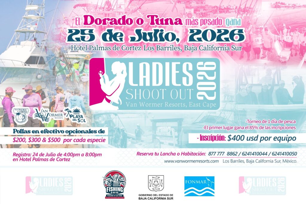 Ladies - Gringo Gazette