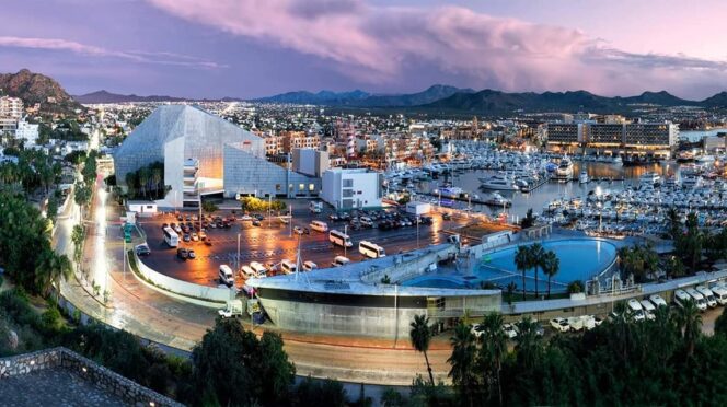 Pavillion3 - Gringo Gazette