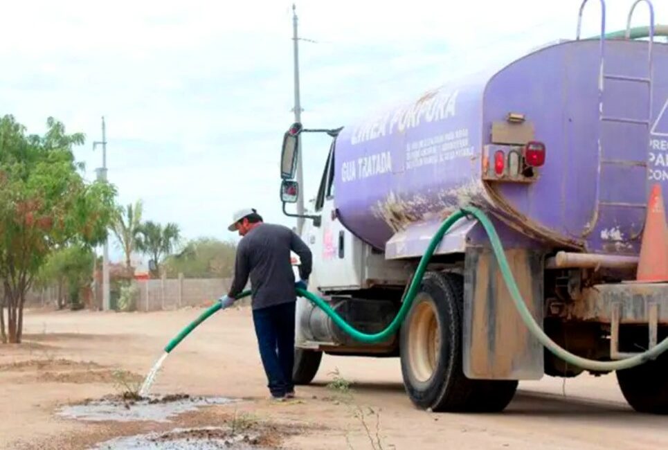 purple pipa - Gringo Gazette