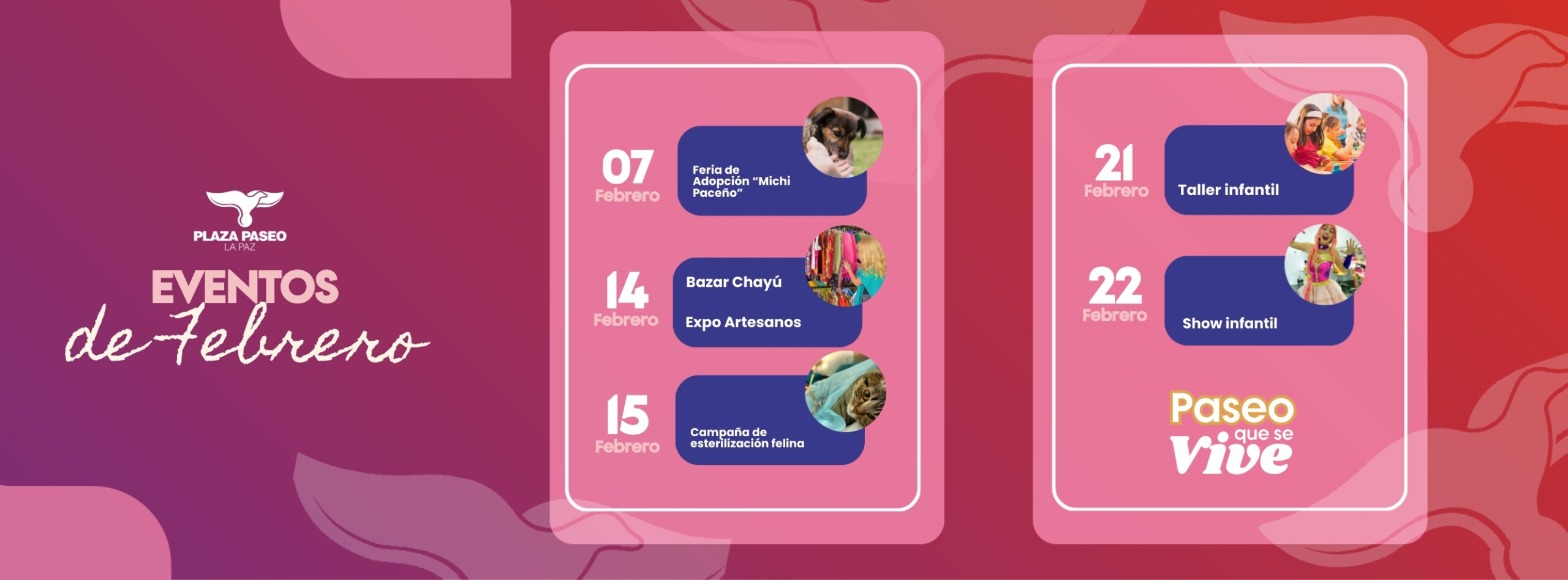 627096257_122261768384191380_1134771688992375653_n 1 - Gringo Gazette