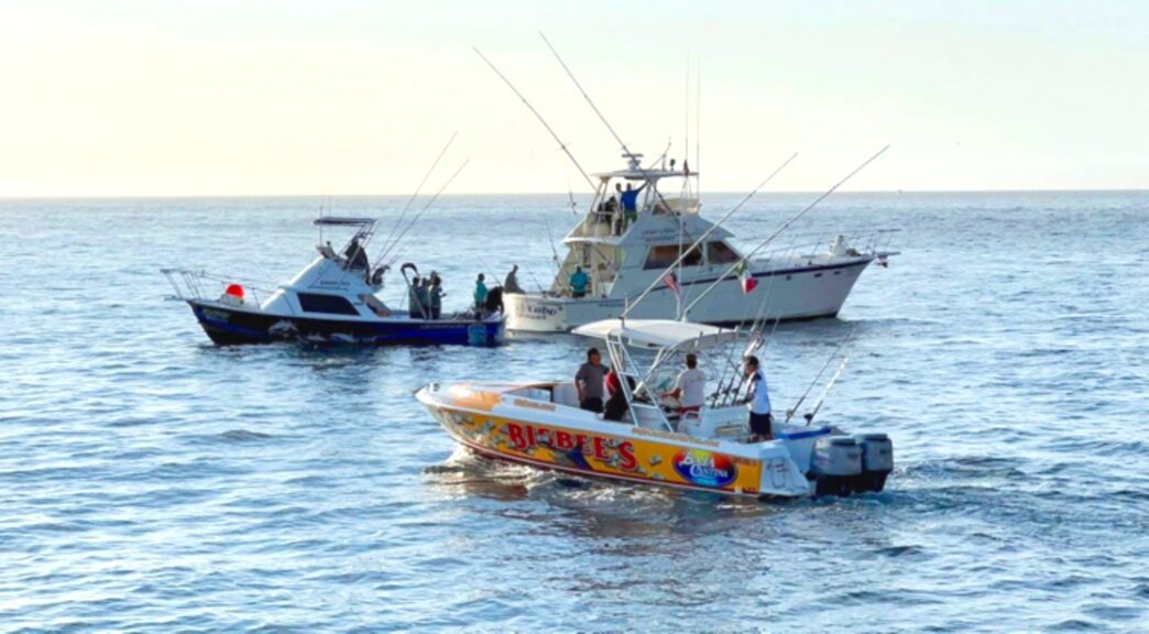 Bulnes - Gringo Gazette