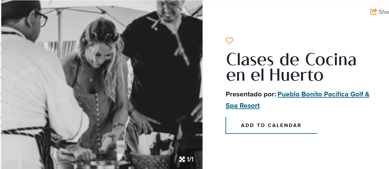 Screenshot 2026-02-15 224725 - Gringo Gazette