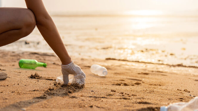 pickingUpTrash - Gringo Gazette