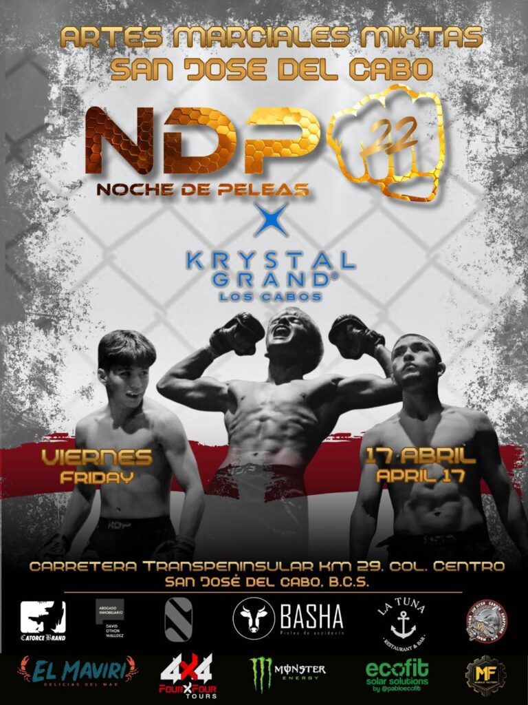 Noche de peleas - Gringo Gazette