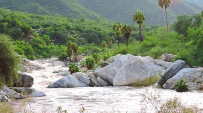 Semarnat Rejects “Uncle Checo Sanctuary” Project Over Documentation Gaps